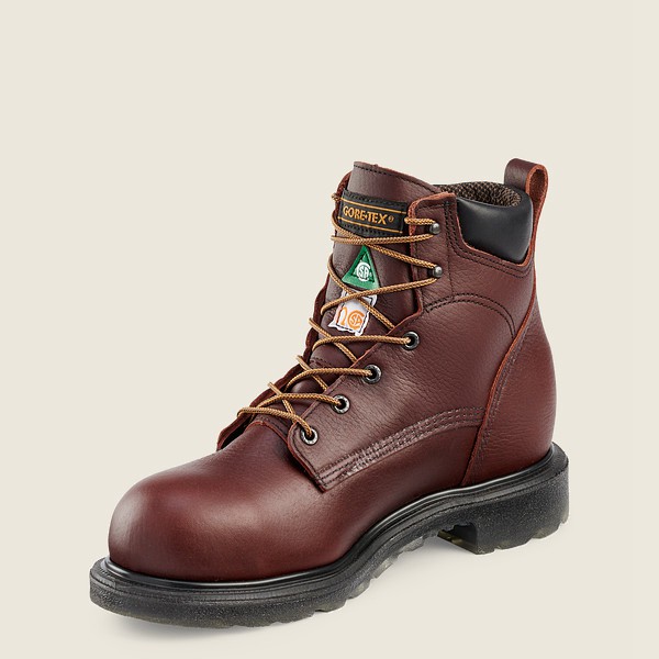 Botas de Seguridad Red Wing Hombre Vino - Supersole® 2.0 - 6-Inch Waterproof Csa Toe - 967-PWVAYI